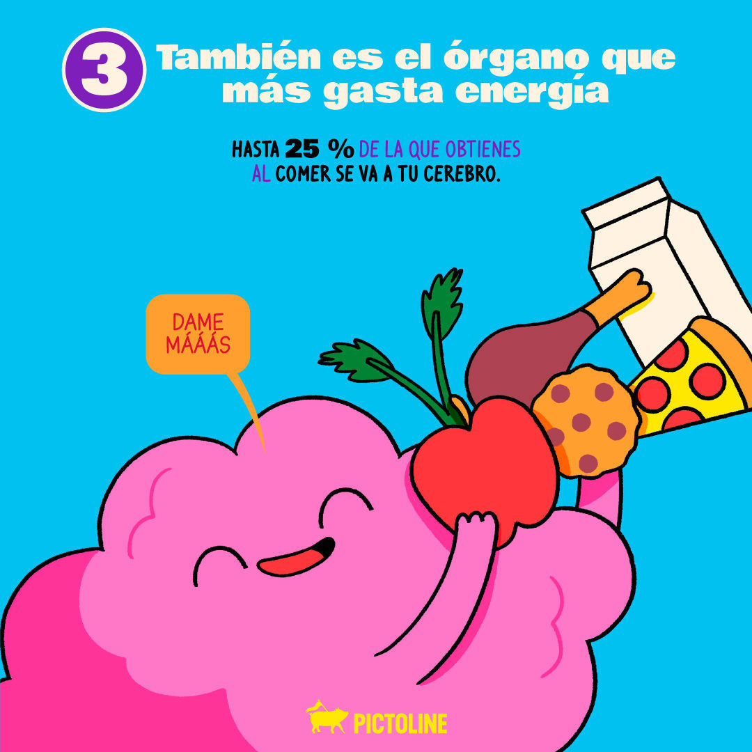Tú: Ya nada me sorprende… 🥺⁣ El cerebro humano: Pues mira mis funciones, mi ciela 🧠👁️👄👁️🧠⁣ ⁣ #DíaDelCerebro #WorldBrainDay #DíaMundialDelCerebro #Cerebro #Neurociencia #Pictoline