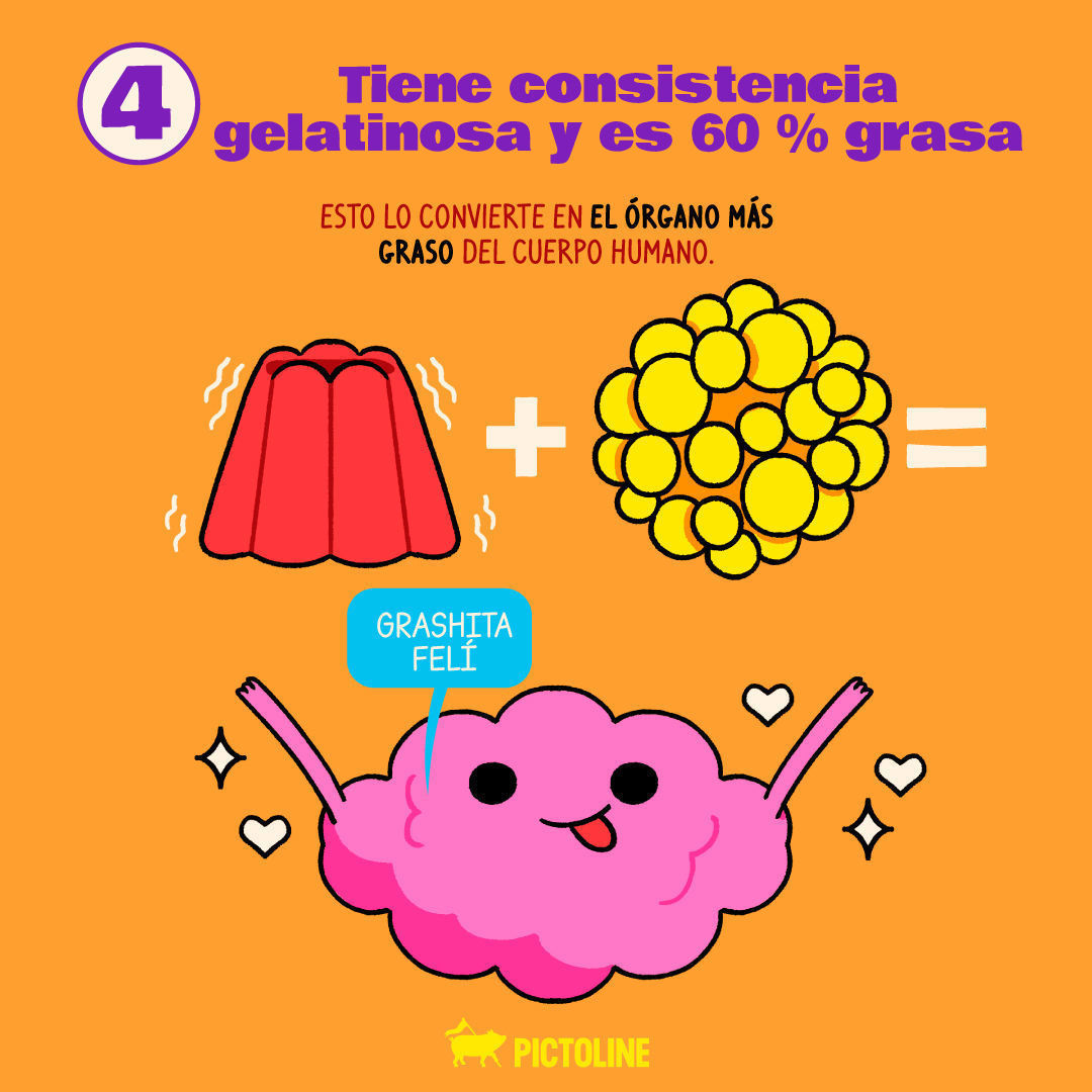 Tú: Ya nada me sorprende… 🥺⁣ El cerebro humano: Pues mira mis funciones, mi ciela 🧠👁️👄👁️🧠⁣ ⁣ #DíaDelCerebro #WorldBrainDay #DíaMundialDelCerebro #Cerebro #Neurociencia #Pictoline