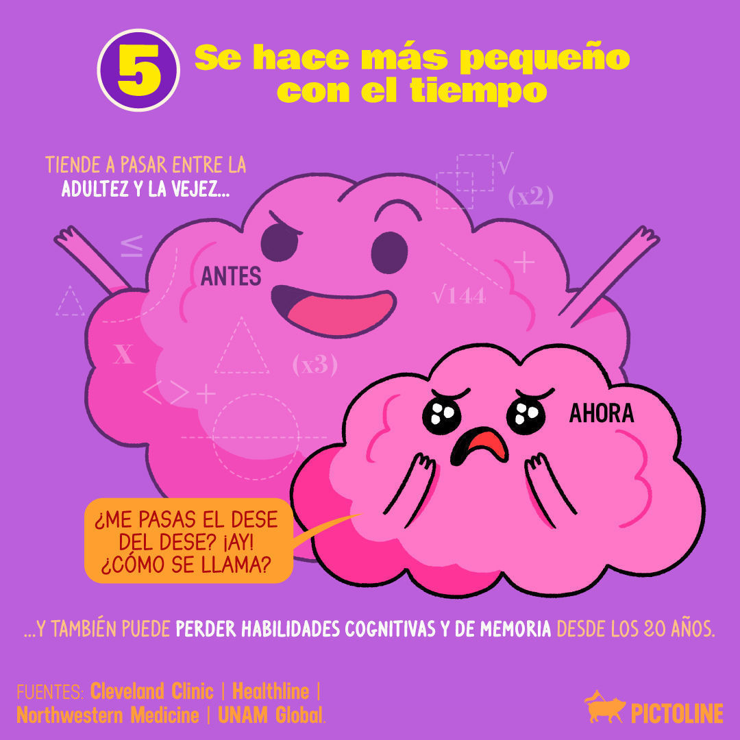 Tú: Ya nada me sorprende… 🥺⁣ El cerebro humano: Pues mira mis funciones, mi ciela 🧠👁️👄👁️🧠⁣ ⁣ #DíaDelCerebro #WorldBrainDay #DíaMundialDelCerebro #Cerebro #Neurociencia #Pictoline