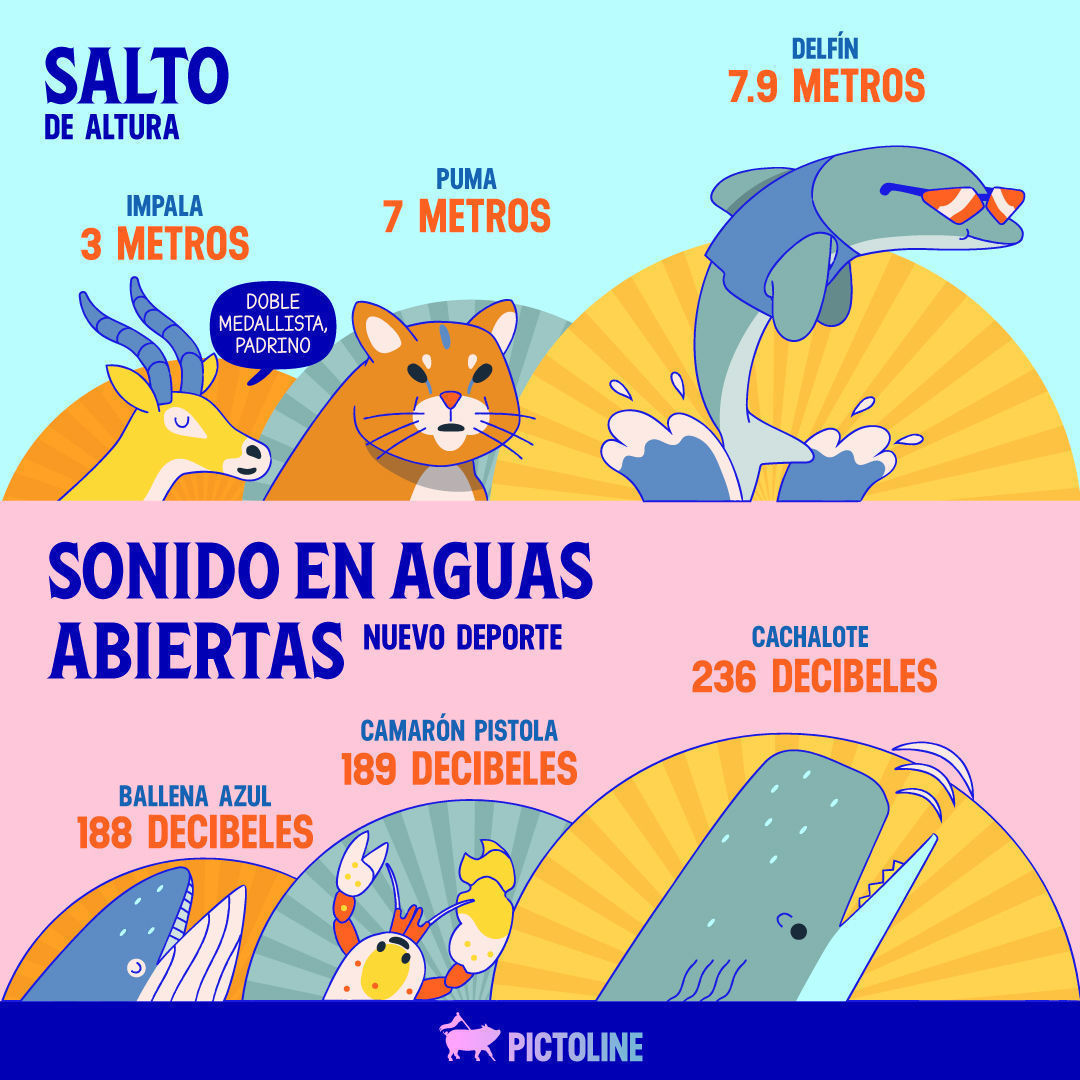 🐾🏅 En un mundo donde los animales compiten en los Juegos Olímpicos, ¿quiénes se habrían llevado el oro? 🐺🦏🦩🐠⁣ ⁣ #DeportesOlímpicos #TiburónMako #PezEspada #PezVela #Vencejo #Halcón #Fragata #Gacela #Berrendo #Guepardo #Hormiga #Escarabajo #Ele