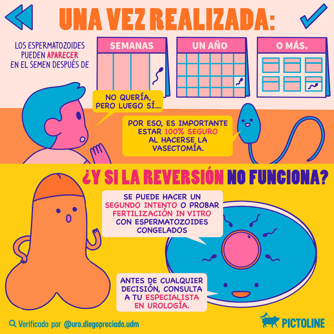 ¿Decidiste que siempre sí? 👨‍👧‍👦 Debes saber esto sobre la cirugía de reversión de vasectomía, su tasa de éxito y tiempo para concebir 🩺🔍 #ReversiónDeVasectomía #Vasectomía #CirugíaDeReversión #PlanificaciónFamiliar #Pictoline