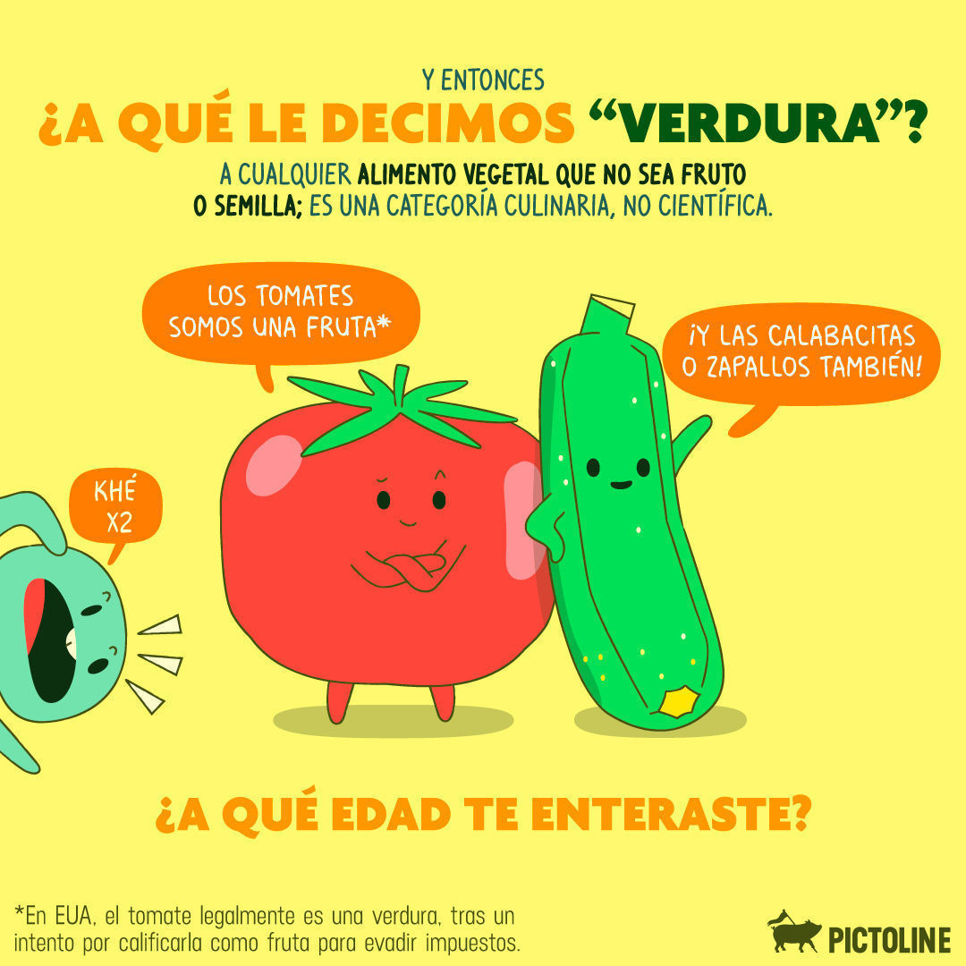 ⚠️ Spoiler alert: ¡LAS VERDURAS NO EXISTEN! 😲 Pero los beneficios de las "verduras" para la salud sí que son reales. ¿Quién lo diría? 🥦🥬🥕⁣ ⁣ #Alimentación #CocinaConVerduras #VerdurasSaludables #BeneficiosDeLasVerduras #RecetasConVerduras #ComeV