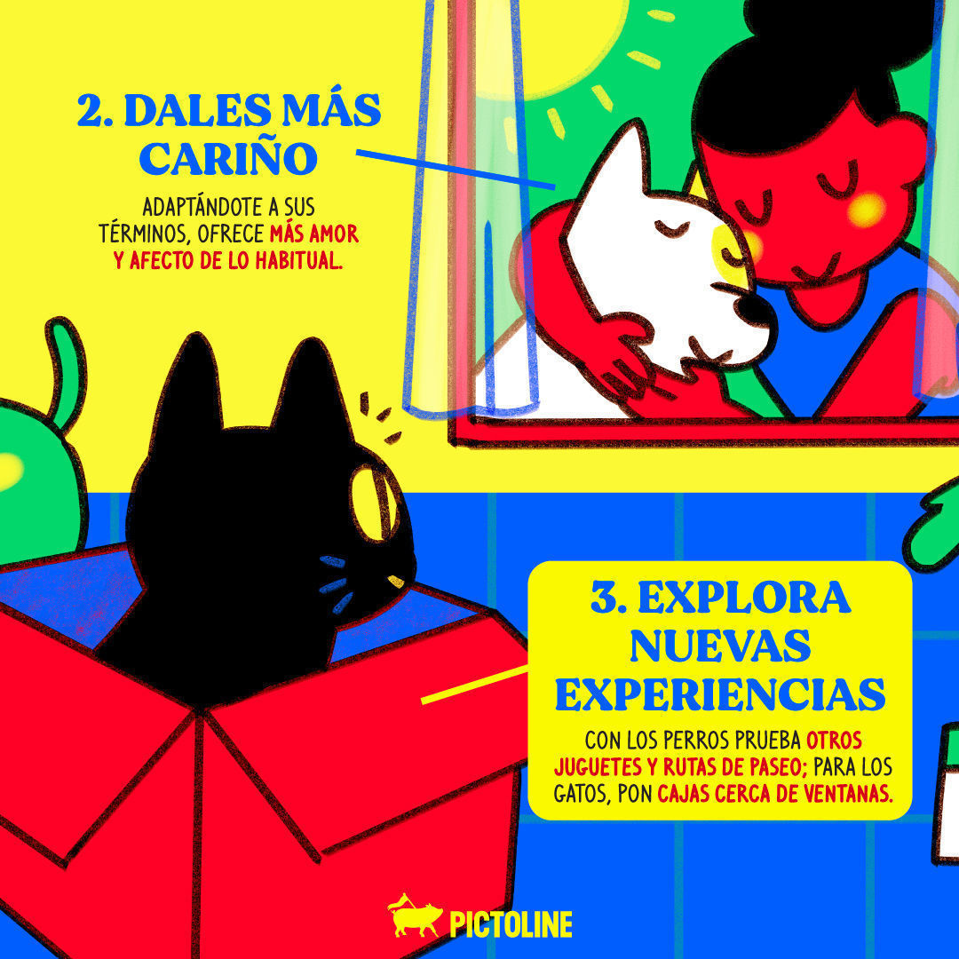 🥺 🐕 Estrategias para apoyar a mascotas en duelo 😿🫂 #MascotasEnDuelo #PérdidaDeDueño #TristezaDeMascotas #CuidadoDeMascotas #MascotasYDuelo #ApoyoALasMascotas #EmocionesDeMascotas #AyudaParaMascotas #DueloAnimal #PerdidaDeMascota #Perros #Gatos 