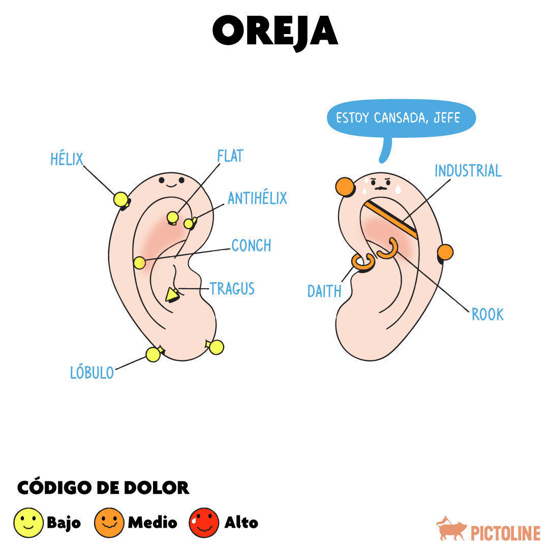 Hay muuuuuchos tipos de piercings 👂💍👃💍👄, pero ¿qué tanto duelen? 🤏⁣ ⁣ #Piercing #BodyPiercing #PiercingLovers #EarPiercing #NosePiercing #PiercingGoals #TattoosAndPiercings #PiercingCommunity #PiercingInspiration #PiercingCuidados #Pictoline