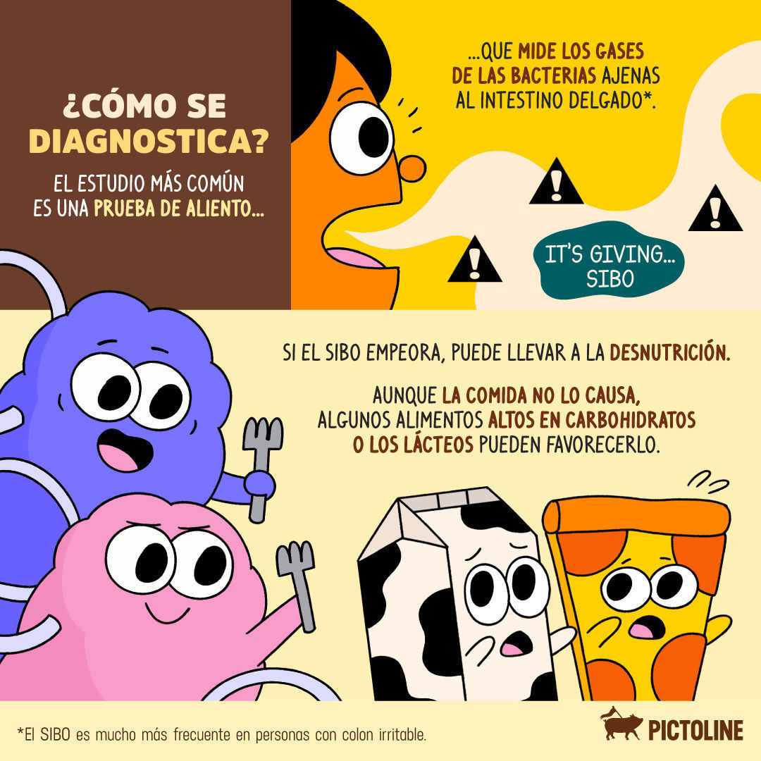 ¿Qué es el SIBO y cuáles son sus síntomas? 🤔🥴💨⁣ ⁣ #SIBO #SaludIntestinal #MicrobiotaIntestinal #BienestarDigestivo #CuidadoDigestivo #SaludDigestiva #EquilibrioIntestinal #Pictoline