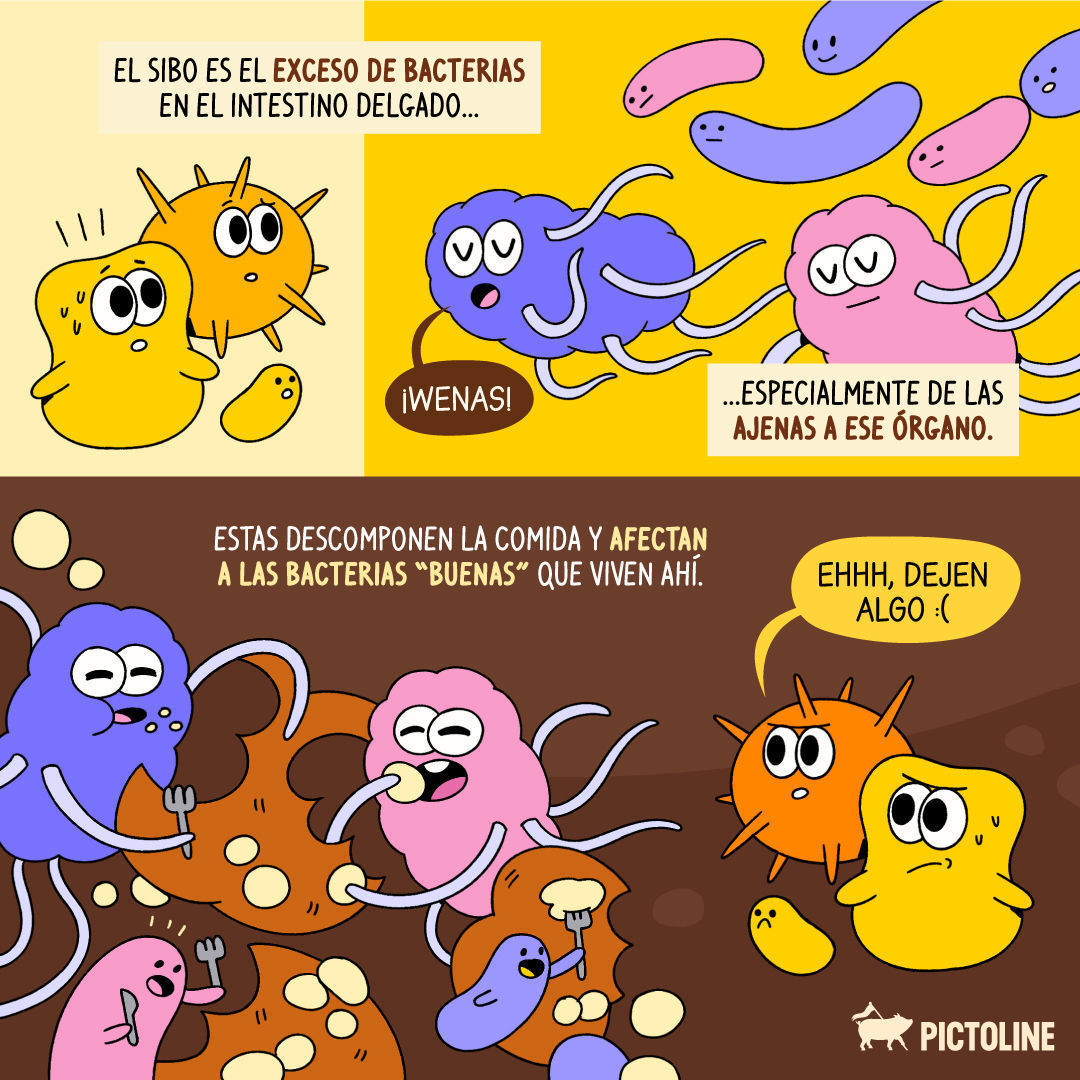 ¿Qué es el SIBO y cuáles son sus síntomas? 🤔🥴💨⁣ ⁣ #SIBO #SaludIntestinal #MicrobiotaIntestinal #BienestarDigestivo #CuidadoDigestivo #SaludDigestiva #EquilibrioIntestinal #Pictoline