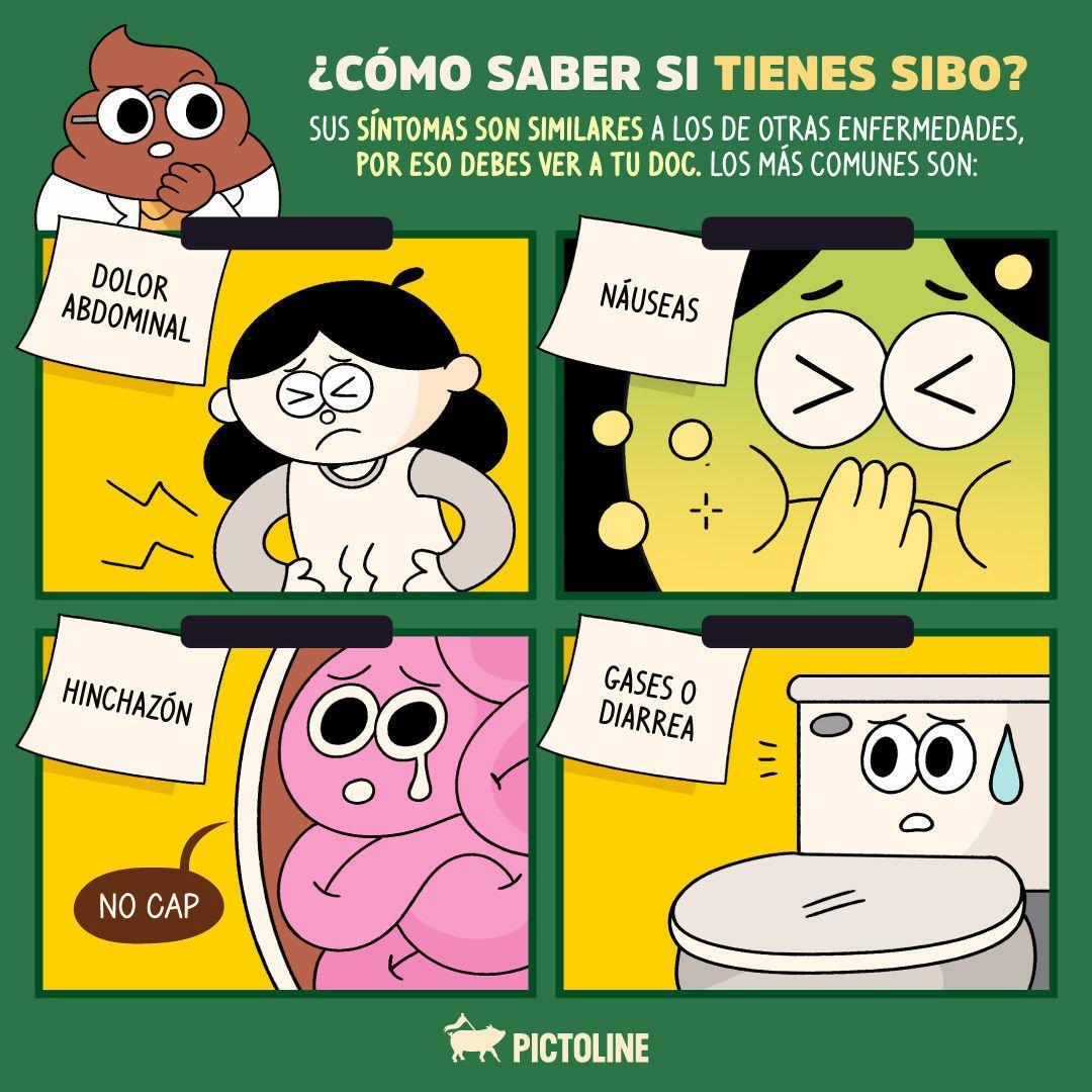 ¿Qué es el SIBO y cuáles son sus síntomas? 🤔🥴💨⁣ ⁣ #SIBO #SaludIntestinal #MicrobiotaIntestinal #BienestarDigestivo #CuidadoDigestivo #SaludDigestiva #EquilibrioIntestinal #Pictoline