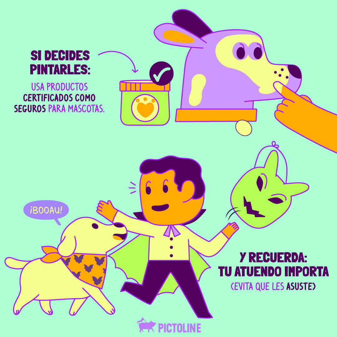🕷️🦇👻🐝🎃💀 Hay una gran variedad de disfraces de Halloween para mascotas 🐶🐱, ¿pero qué tan seguros, cómodos y divertidos son para ellas? 👀👉 #DisfracesDeMascotas #HalloweenParaMascotas #MascotasDisfrazadas #PerrosConDisfraz #GatosConDisfraz #