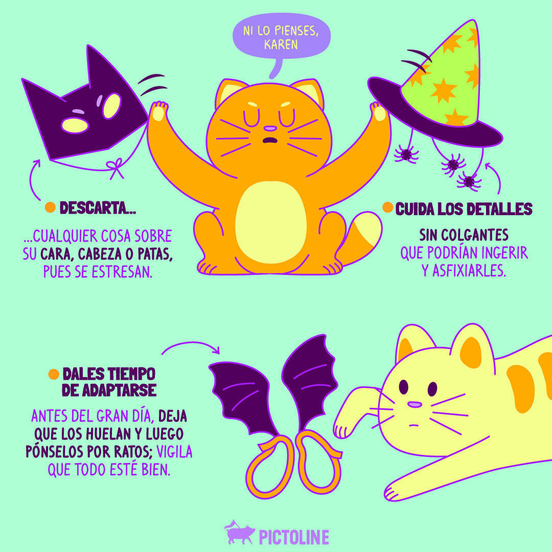 🕷️🦇👻🐝🎃💀 Hay una gran variedad de disfraces de Halloween para mascotas 🐶🐱, ¿pero qué tan seguros, cómodos y divertidos son para ellas? 👀👉 #DisfracesDeMascotas #HalloweenParaMascotas #MascotasDisfrazadas #PerrosConDisfraz #GatosConDisfraz #