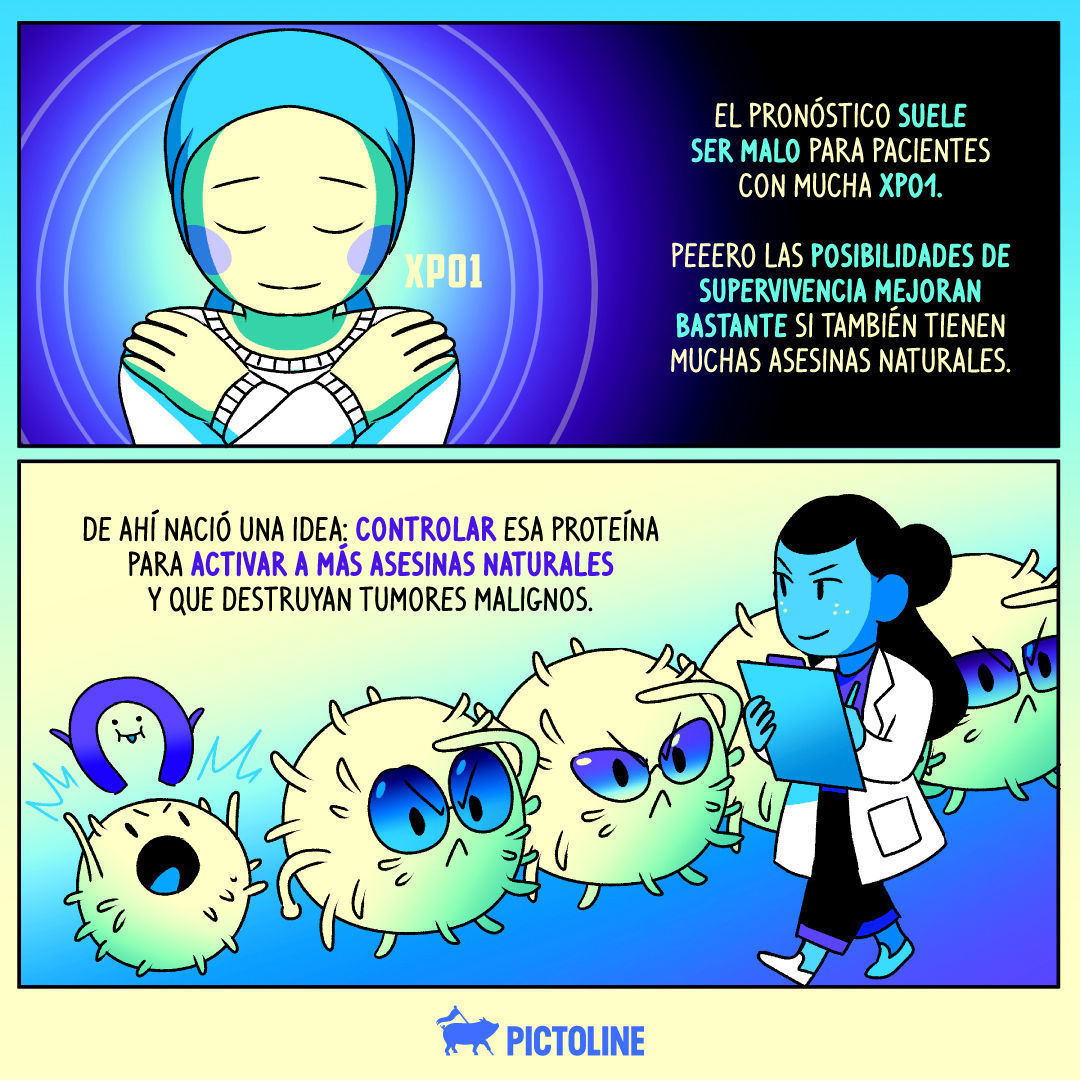 En este Día de la Lucha contra el Cáncer de Mama te contamos sobre las células NK, asesinas naturales en nuestro cuerpo que prometen nuevos tratamientos contra el cáncer 🦠🔬🧑‍⚕️💉⁣ ⁣ #Cáncer #CáncerDeMama #LuchaContraElCáncer #MesRosa #OctubreRosa