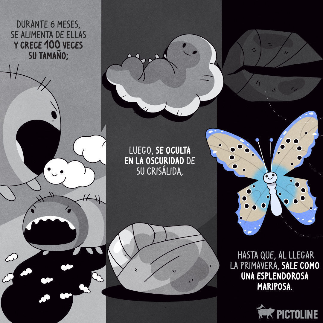 💀🔪🐜 Los oscuros y mortales secretos que guarda la mariposa hormiguera de lunares 🦋⁣ ⁣ #MariposaHormiguera #MariposaHormigueraDeLunares #MaculineaButterfly #MaculineaArion #ConservaciónDeMariposas #Biodiversidad #EcosistemasNaturales #InsectosEnP