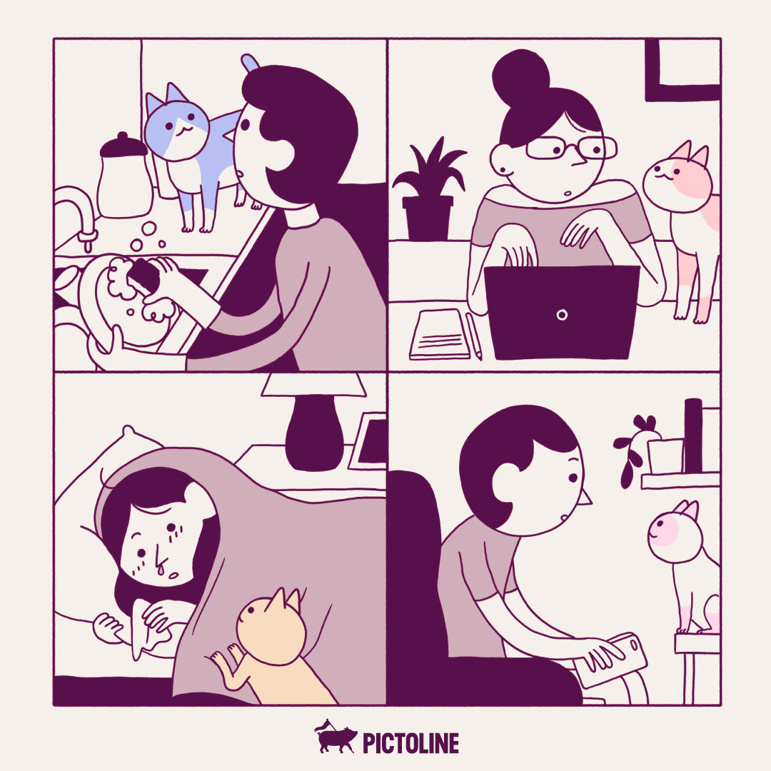 Tener michis en casa cambia de color la vida 🏠 💞🐈‍⬛ Prueba la vida con gatitos y nos cuentas… ✨⁣ #Gatitos #Michilove #AmorPorLosGatos #VidaConMichis #CatLovers #Michis #Pictoline
