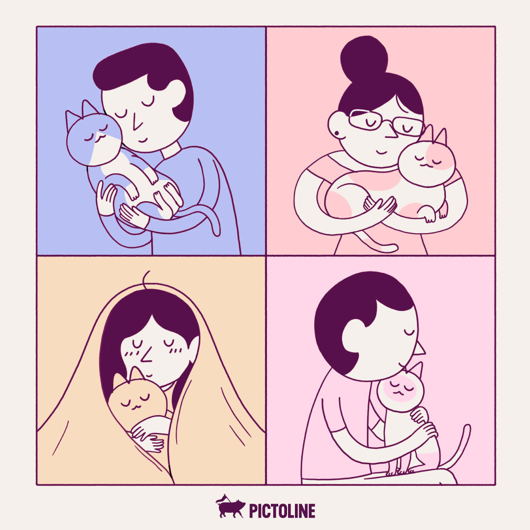 Tener michis en casa cambia de color la vida 🏠 💞🐈‍⬛ Prueba la vida con gatitos y nos cuentas… ✨⁣ #Gatitos #Michilove #AmorPorLosGatos #VidaConMichis #CatLovers #Michis #Pictoline