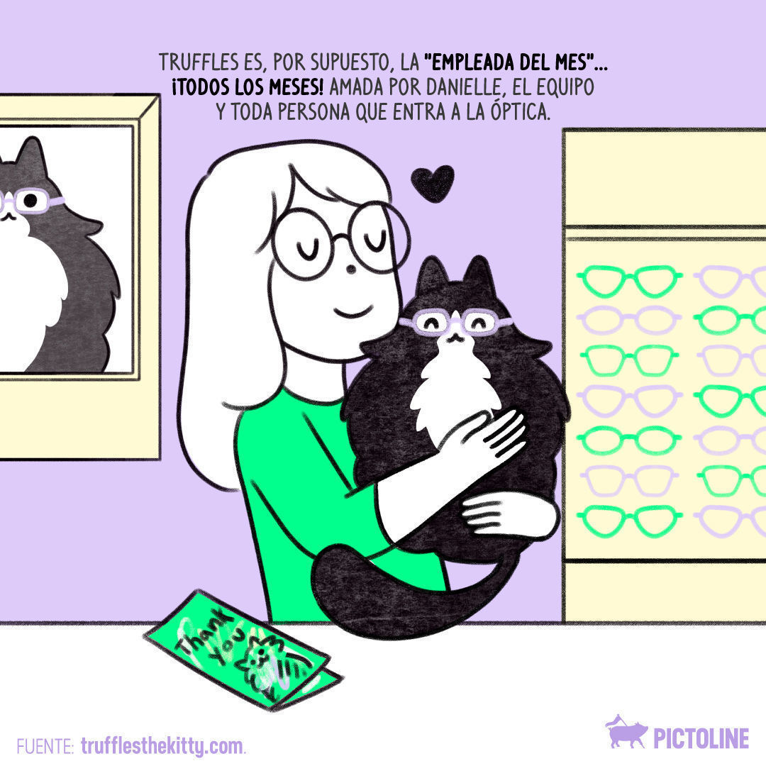 🐾💖👓 Una historia de amor, adopción y mucho estilo... Así es como Truffles se convirtió en la "Empleada del mes" 🐱🌟⁣ ⁣ #TrufflesLaGatita #EmpleadaDelMes #GatitaFamosa #GatosEnLaOficina #TrufflesEmpleadoDelMes #GatitosEnElTrabajo #TrufflesLaGata 