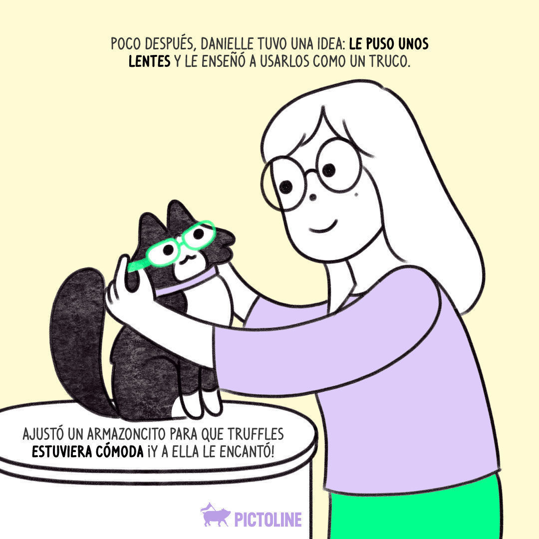 🐾💖👓 Una historia de amor, adopción y mucho estilo... Así es como Truffles se convirtió en la "Empleada del mes" 🐱🌟⁣ ⁣ #TrufflesLaGatita #EmpleadaDelMes #GatitaFamosa #GatosEnLaOficina #TrufflesEmpleadoDelMes #GatitosEnElTrabajo #TrufflesLaGata 