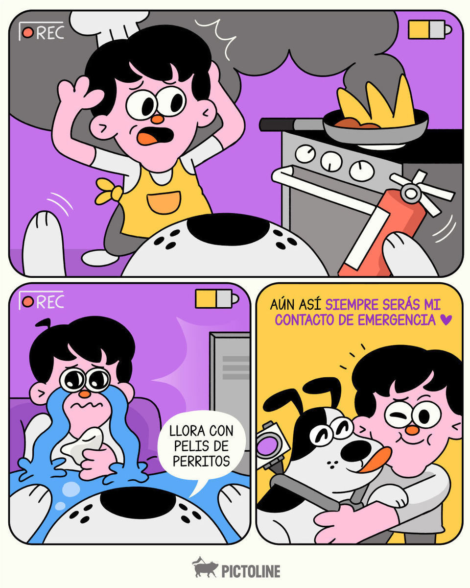 🐶 Cuando el contacto de emergencia es también la emergencia… 🤷‍♂️🤦‍♀️⁣ ⁣ #ContactoDeEmergencia #ErroresDivertidos #AmorDePerros #Lomitos #DogLovers #Pictoline