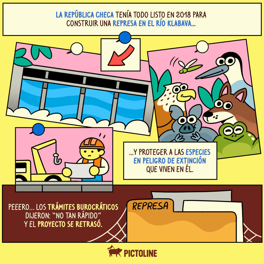 ☝️ Cuando hasta los castores están hartos de la burocracia 🙄🦫⁣ ⁣ #Castores #Ecosistemas #Humedales #VidaSilvestre #AguaLimpia #Naturaleza #Pictoline