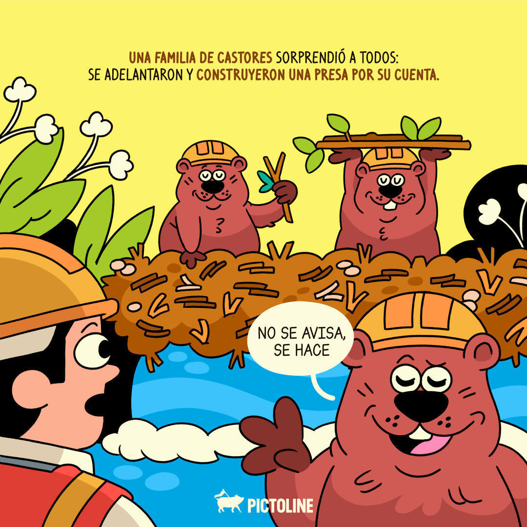 ☝️ Cuando hasta los castores están hartos de la burocracia 🙄🦫⁣ ⁣ #Castores #Ecosistemas #Humedales #VidaSilvestre #AguaLimpia #Naturaleza #Pictoline