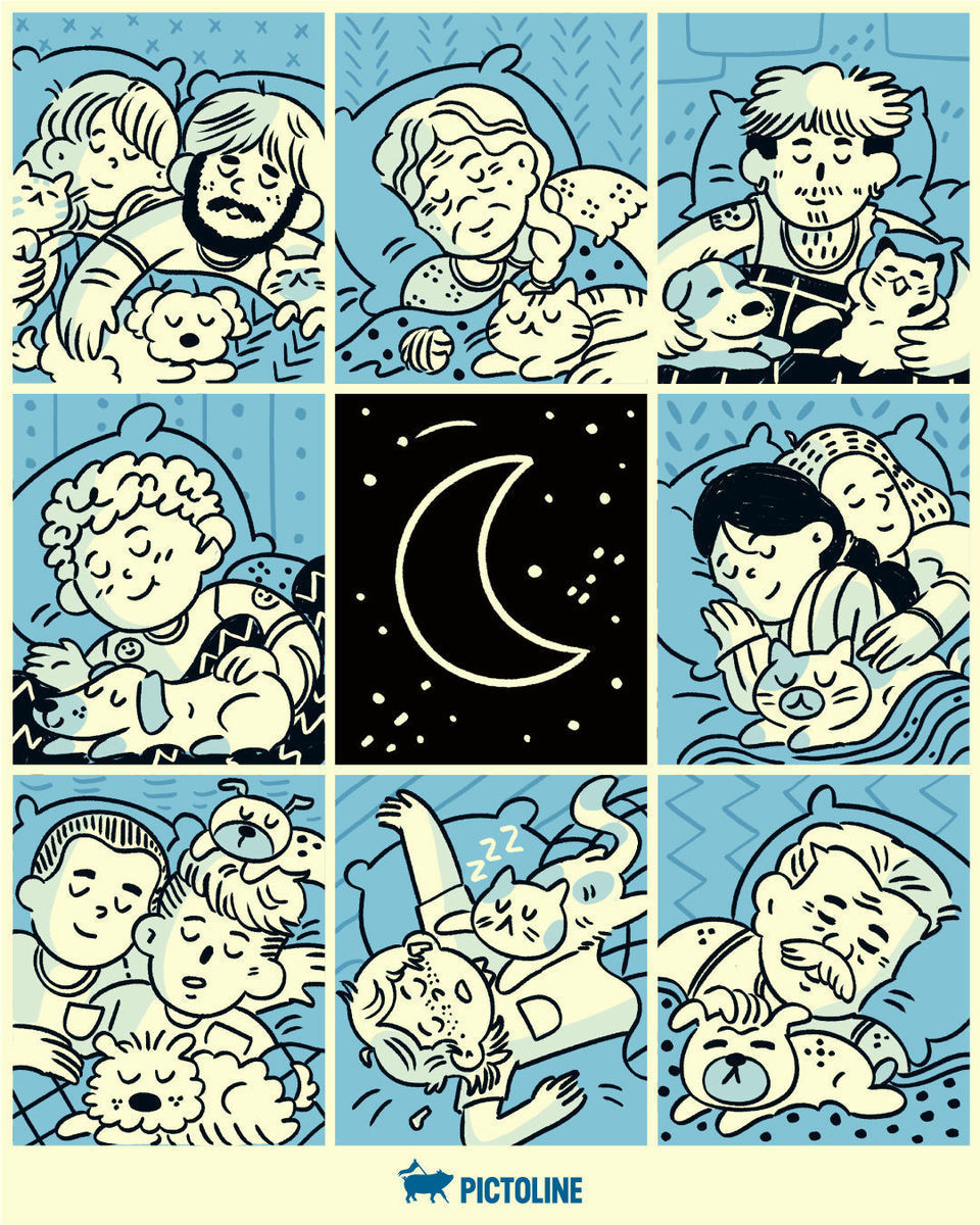 🛌 ¿Quién más disfruta la acurrucación con sus lomitos y sus michis? 🐶❤️🐱⁣ ⁣ #petlover #catlover #doglover #durmiendojuntos #amorpeludo #mascotasenlacama #Pictoline