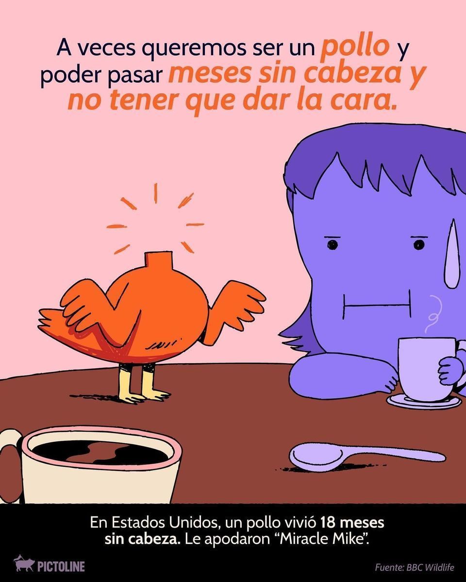 😅❗ Cagarla es fácil; afrontarlo no tanto... 🫣😓 Cuando lo haces 👉 👈 , ¿qué animal te representa más? #perdon #error #datoscuriosos #animales #pictoline