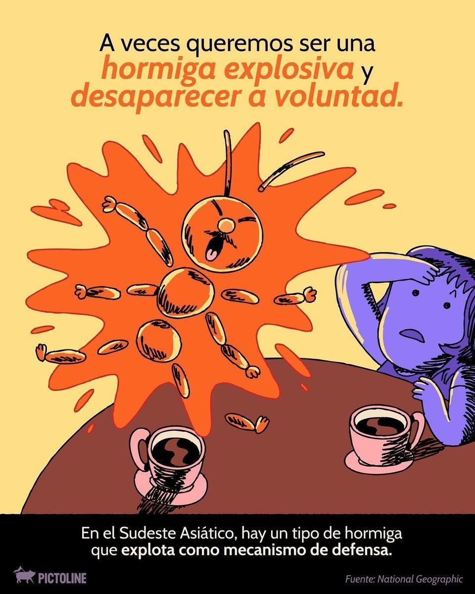 😅❗ Cagarla es fácil; afrontarlo no tanto... 🫣😓 Cuando lo haces 👉 👈 , ¿qué animal te representa más? #perdon #error #datoscuriosos #animales #pictoline