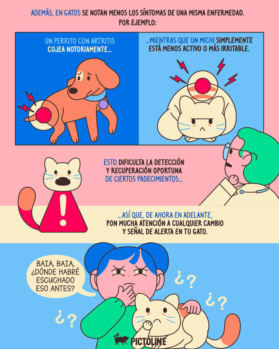 Y tu gato: ¿otra vez con medicina para perros, Karen? 🩺🙄🐱 #SaludFelina​ #MedicinaVeterinaria​ #CuidadoDeGatos​ #GatosVsPerros​ #EnfermedadesFelinas #Pictoline