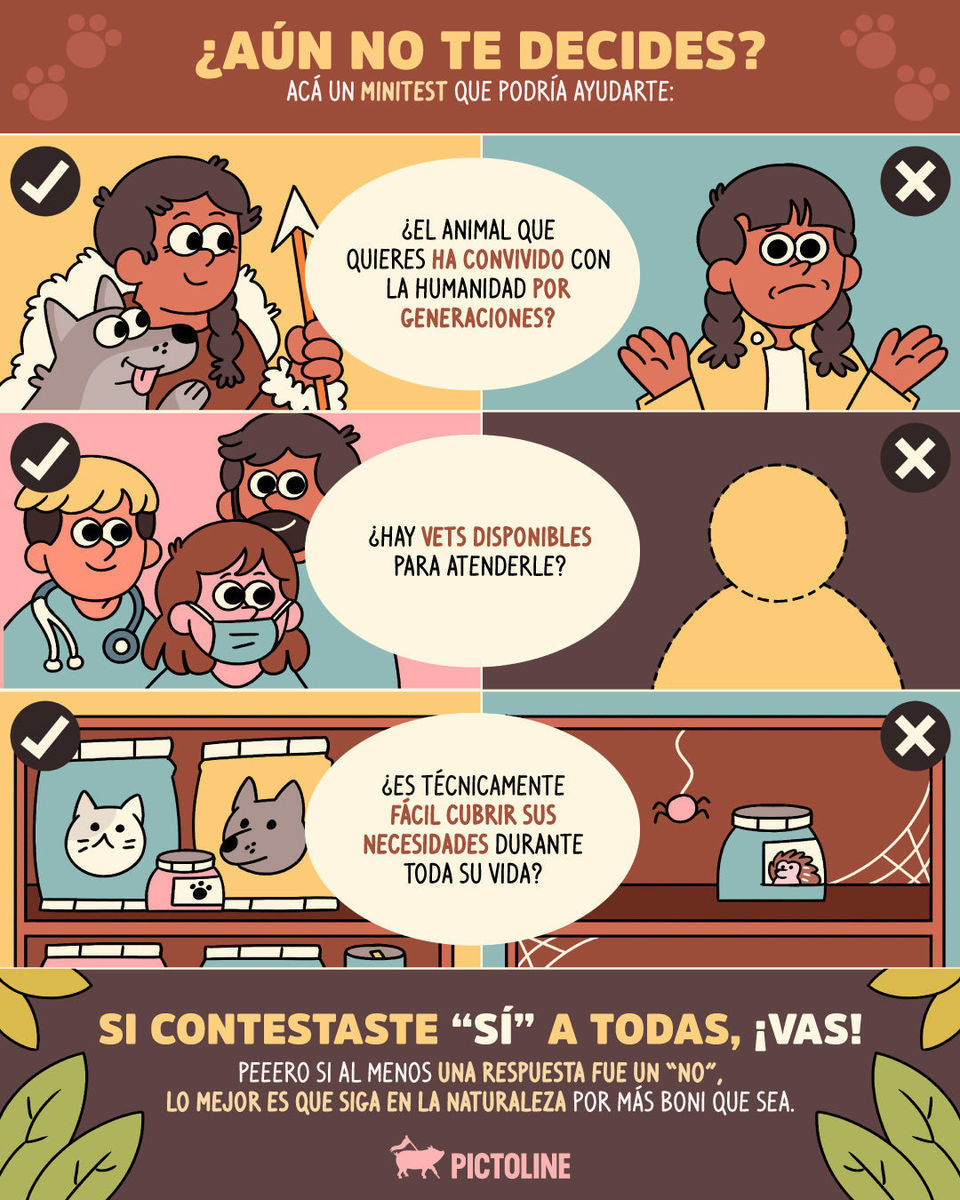 😍 Obvi dan ganas de tenerlos en casa para abrazarlos, pero los animales domesticados y los animales silvestres no son lo mismo ☝️🐇🦔🐒⁣ ⁣ #NoTodosSonMascotas #CuidadoAnimal #AnimalLovers #AnimalesSilvestres #MundoAnimal #Pictoline