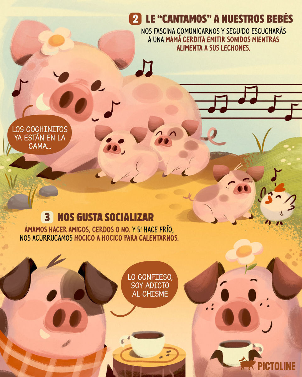 🙄 Eso de sudas como puerco NADA QUE VER… ☝️ ¿Qué otro dato no sabías? 🐷 #puerquilove #cerdosgenios #datosanimales #cerditos #datoscuriosos #inteligenciaanimal #pictoline