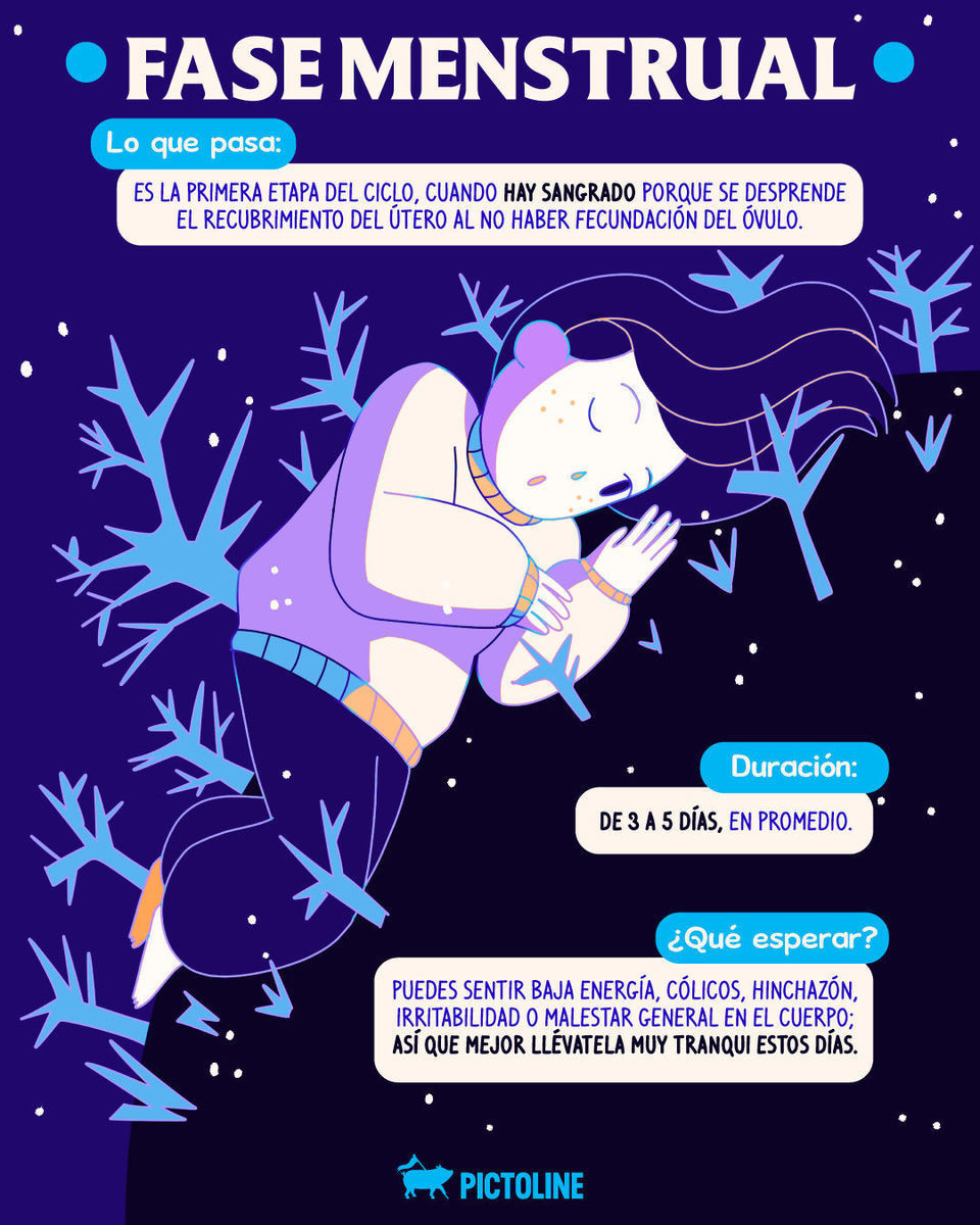 Como las estaciones del año, tu cuerpo cambia y eso está bien 🍂🌸 Conocer las fases del ciclo menstrual te ayudará a saber aprovecharlas mejor 🩸 #ciclomenstrual #salud #menstruación #educaciónmenstrual #fasesdelciclo #pictoline