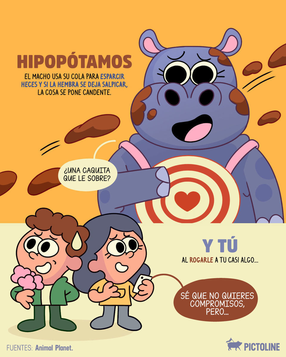 💩 Los mensajes en viernes a las 3 de la mañana tienen la misma energía de los 🦛 ligando... 🌚⁣ ⁣ #animales #humor #parejas #migajero #migajera #migajear #relacionestóxicas #amor #desamor #pictoline
