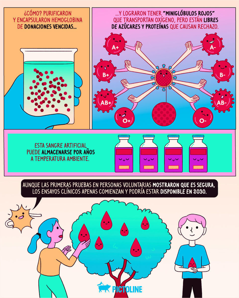 Una sangre de laboratorio compatible con todas las personas podría ser una realidad para 2030 🩸🧑‍🔬🔬⁣ ⁣ #medicina #salud #ciencia #transfusion #donateblood #pictoline