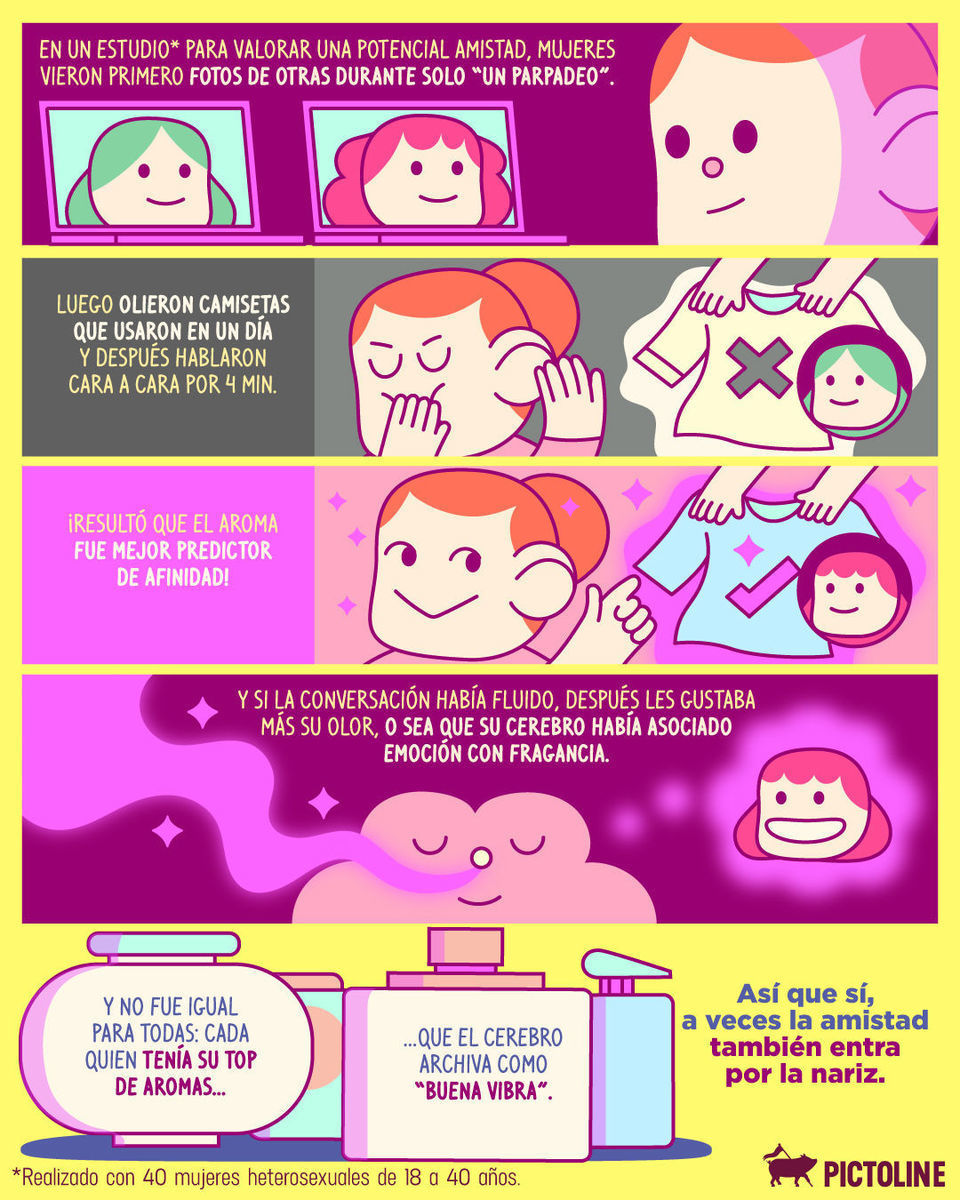 ¿Te gusta cómo huelen tus amigas? No es casualidad… 👃✨🌼 🫶⁣ ⁣ #amistad #amistades #amigas #conexiones #conexionolfativa #aroma #ciencia #olfato #pictoline