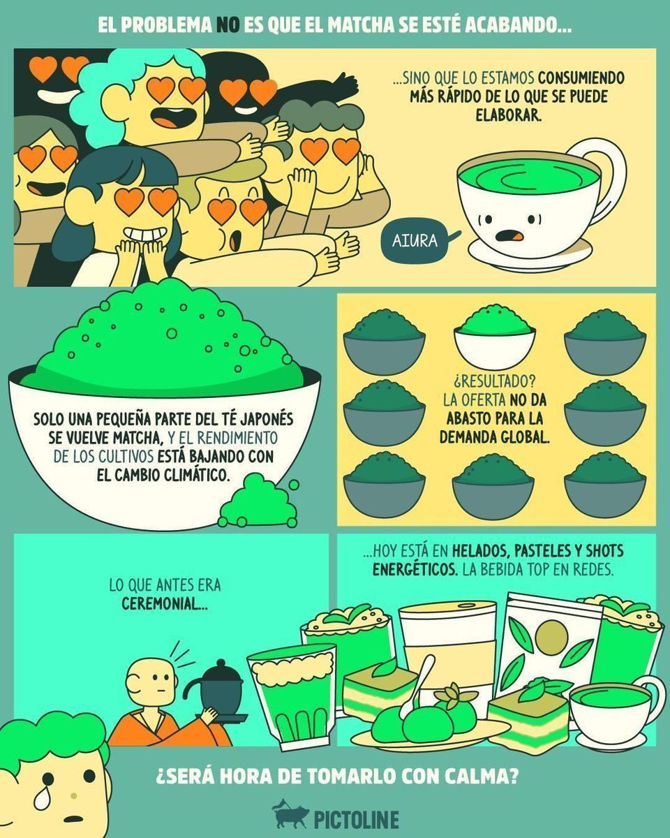 😱 ¿El mundo está acabando con la bebida más top de internet? 🍵⁣ ⁣ #matcha #matchalover #matchagreentea #matchalatte #trending #bebidas #medioambiente #cultura #sociedad #comida #pictoline