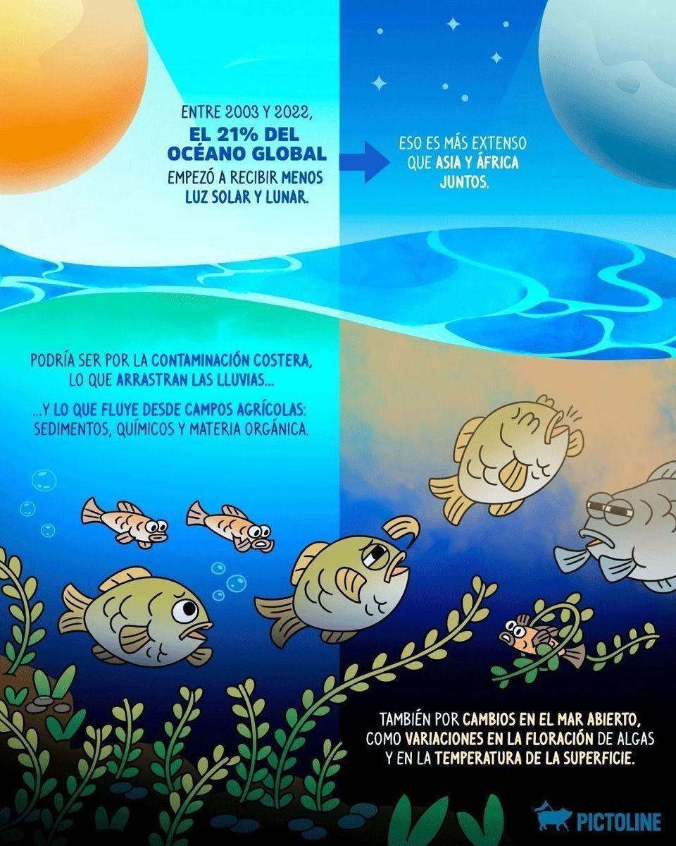 🌎🌊 El océano se está quedando a oscuras y, aunque vivas a kilómetros de cualquier playa, eso te afecta 😥 #contaminacion #oceano #cambioclimático #contaminacióncostera #ecosistemasmarinos #ciencia #naturaleza #pictoline