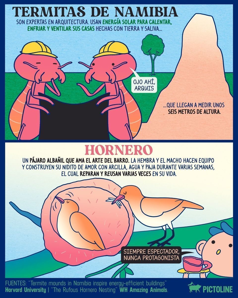 🪄🎻 ¿Cómo que existe un cangrejo violinista y un pulpo actor? 🐙🎭 El mundo animal rifándose con arte y tú sin poder arreglar tu pieza de cerámica 😅 #arte #animales #mundoanimal #datoscuriosos #curiosidades #animalartist #pictoline