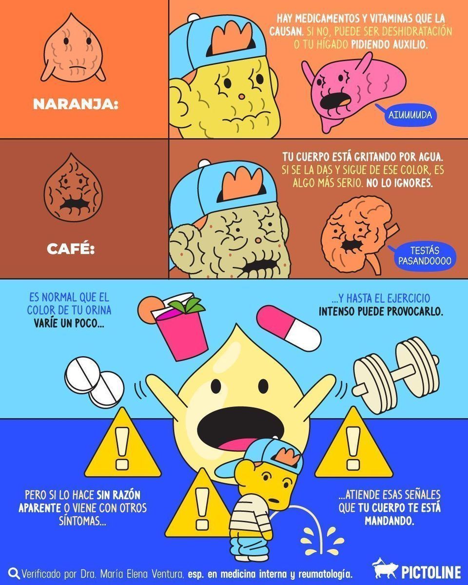 Lo que el color de tu pipí puede decir de ti y tus posibles “pedillos” 💧🚽👀⁣ ⁣ #orina #salud #laboratorioclinico #tomaagua #hidratacion #pictoline⁣