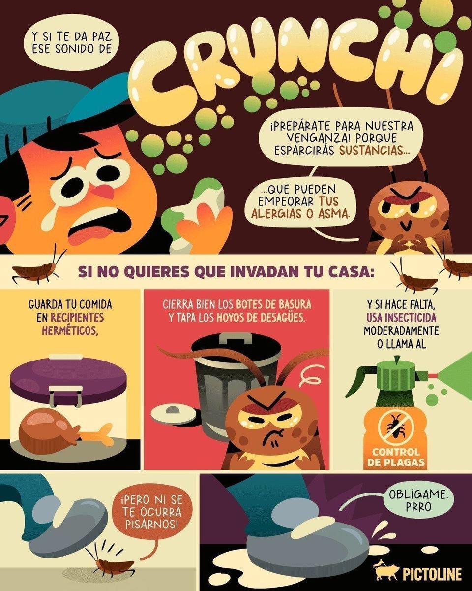 🪳🩴🏠 Aplastar a las cucarachas da paz, pero trae sus consecuencias 💀⁣ ⁣ #cucarachas #animales #alergias #salud #higiene #lifehack #hogar #tips #pictoline