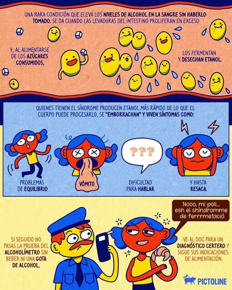 ¿Te imaginas sentirte “happy” sin haber bebido nada de alcohol? Sí pasa y es el Síndrome de Autocervecería 😵‍💫🍻✨⁣ ⁣ #sindrome #salud #ciencia #alcohol #fermentación #pictoline