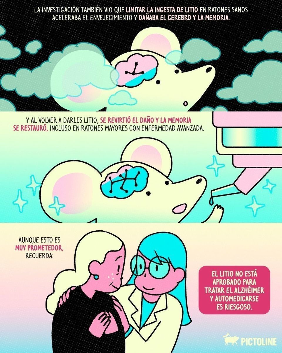 🧬 ¿Estamos cerca de vencer al alzhéimer? 🧠 #alzheimer #demencia #memoria #memorias #cerebro #salud #ciencia #harvard #pictoline