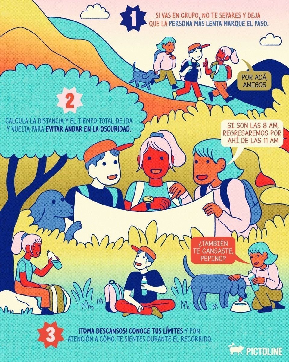 Con estos tips no solo lograrás un hike seguro, sino también un hike feli ⛰️🚶⁣ ⁣ #hike #hikinglife #hikingadventure #naturaleza #viajes #pictoline⁣