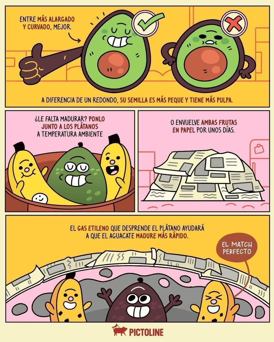Convertirte en máster en aguacates es uno de los posgrados de la vida adulta 🥑🛍️🛒 #aguacate #avocado #aguacatehass #food #guacamole #palta #paltalover #despensa #tipsandtricks #comida #mercado #hacks #lifehack #pictoline