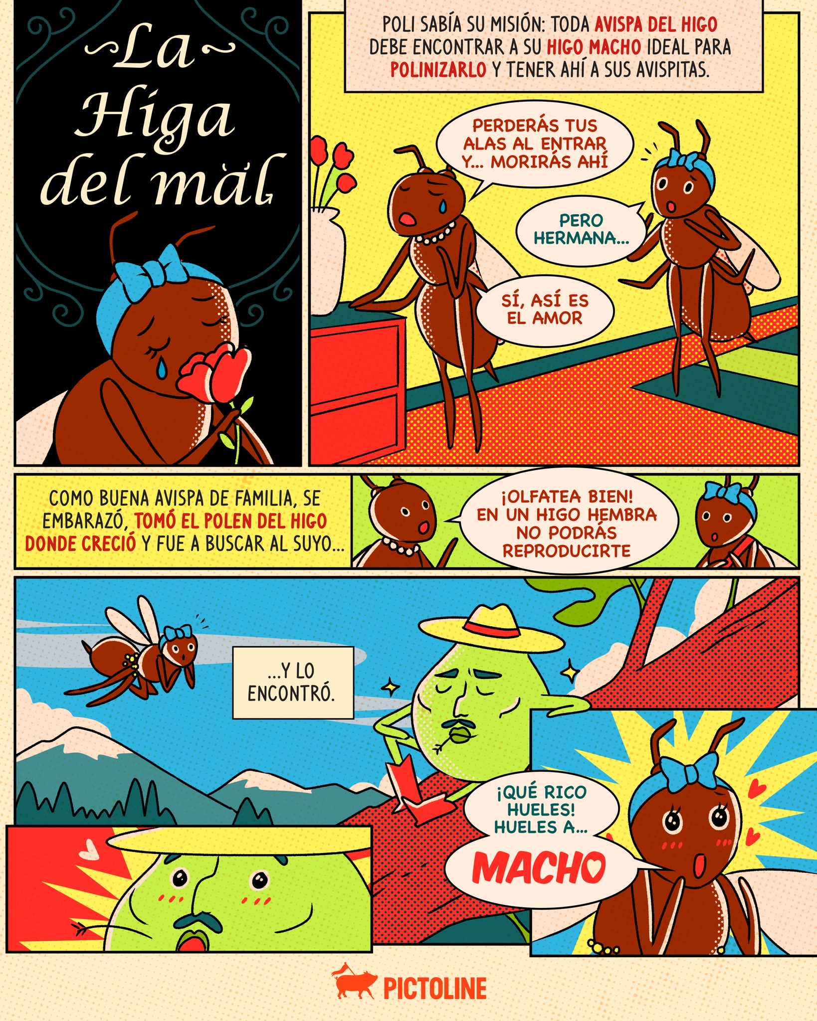 Una historia de amor, desenfreno y traición donde la muerte es la única certeza 🍐🦟🍐 Chismecito científico que sí querrás saber 👀 #higos #avispadelhigo #entomología #biología #higo #avispas #organico #ciclodelavida #naturaleza #insectos #nature