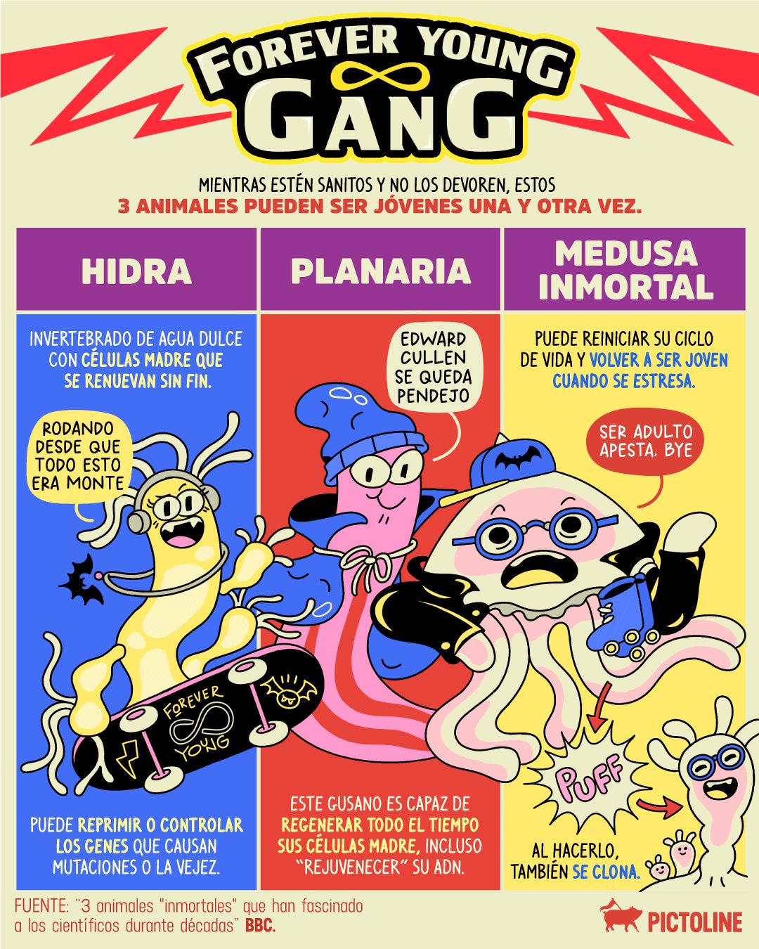 La medusa inmortal viendo cómo envejeces a los 30: 👁️👄👁️⁣ ⁣ #juventudeterna #envejecimiento #skincare #inmortalidad #animales #animaleseternos #foreveryoung #biologia #pictoline