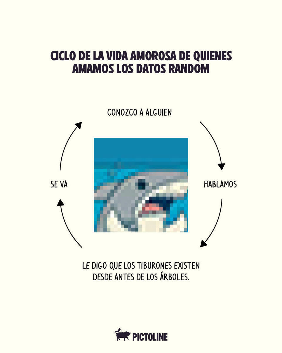 No habrá segunda cita, pero ya sabe todos esos datos random que AMOO 🤓🤌⁣ ⁣ #funfacts #datoscuriosos #memes #animales #pictoline