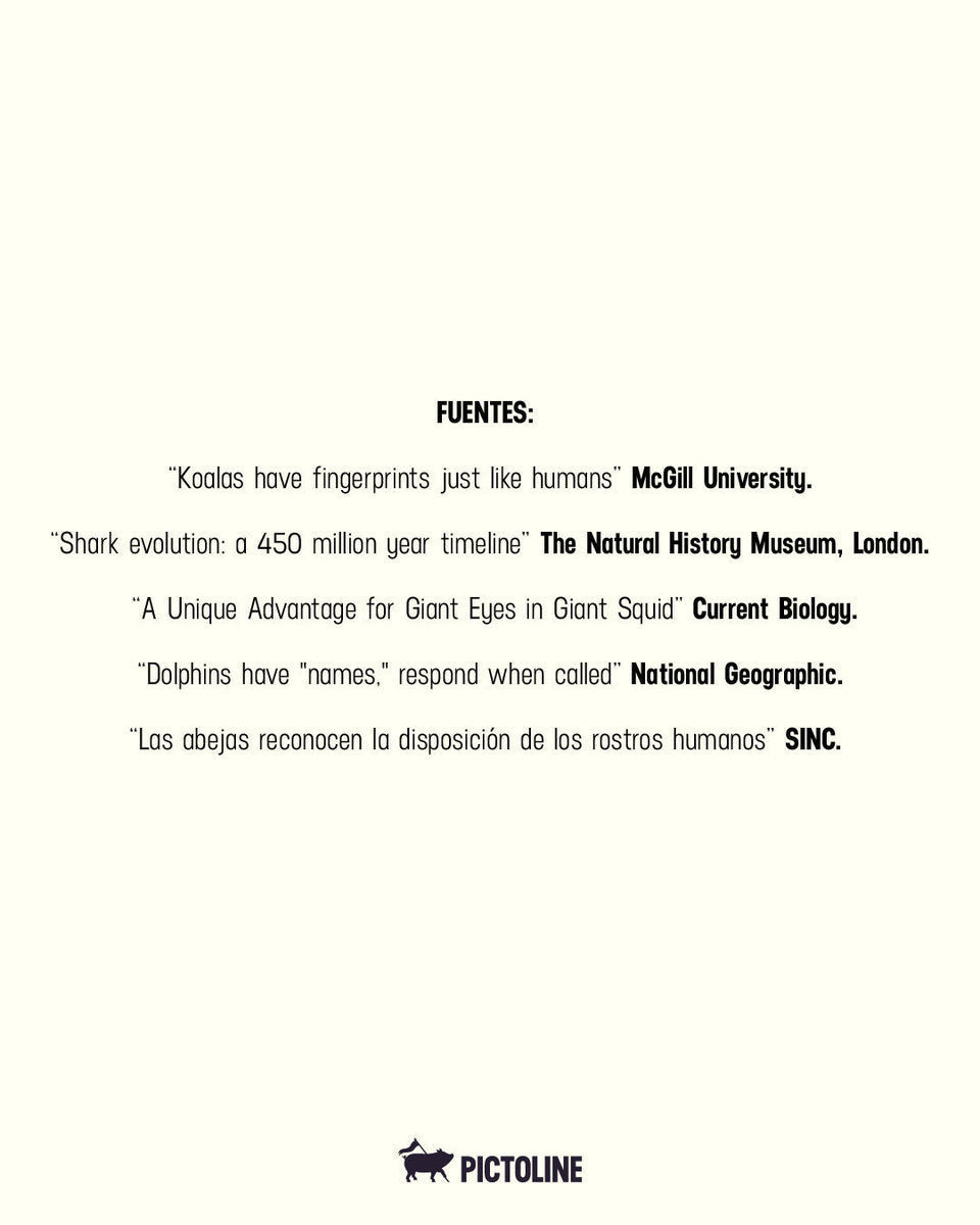 No habrá segunda cita, pero ya sabe todos esos datos random que AMOO 🤓🤌⁣ ⁣ #funfacts #datoscuriosos #memes #animales #pictoline