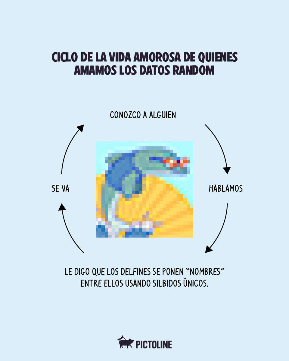 No habrá segunda cita, pero ya sabe todos esos datos random que AMOO 🤓🤌⁣ ⁣ #funfacts #datoscuriosos #memes #animales #pictoline