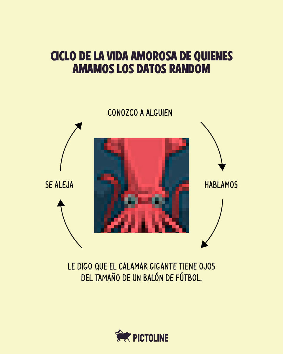 No habrá segunda cita, pero ya sabe todos esos datos random que AMOO 🤓🤌⁣ ⁣ #funfacts #datoscuriosos #memes #animales #pictoline