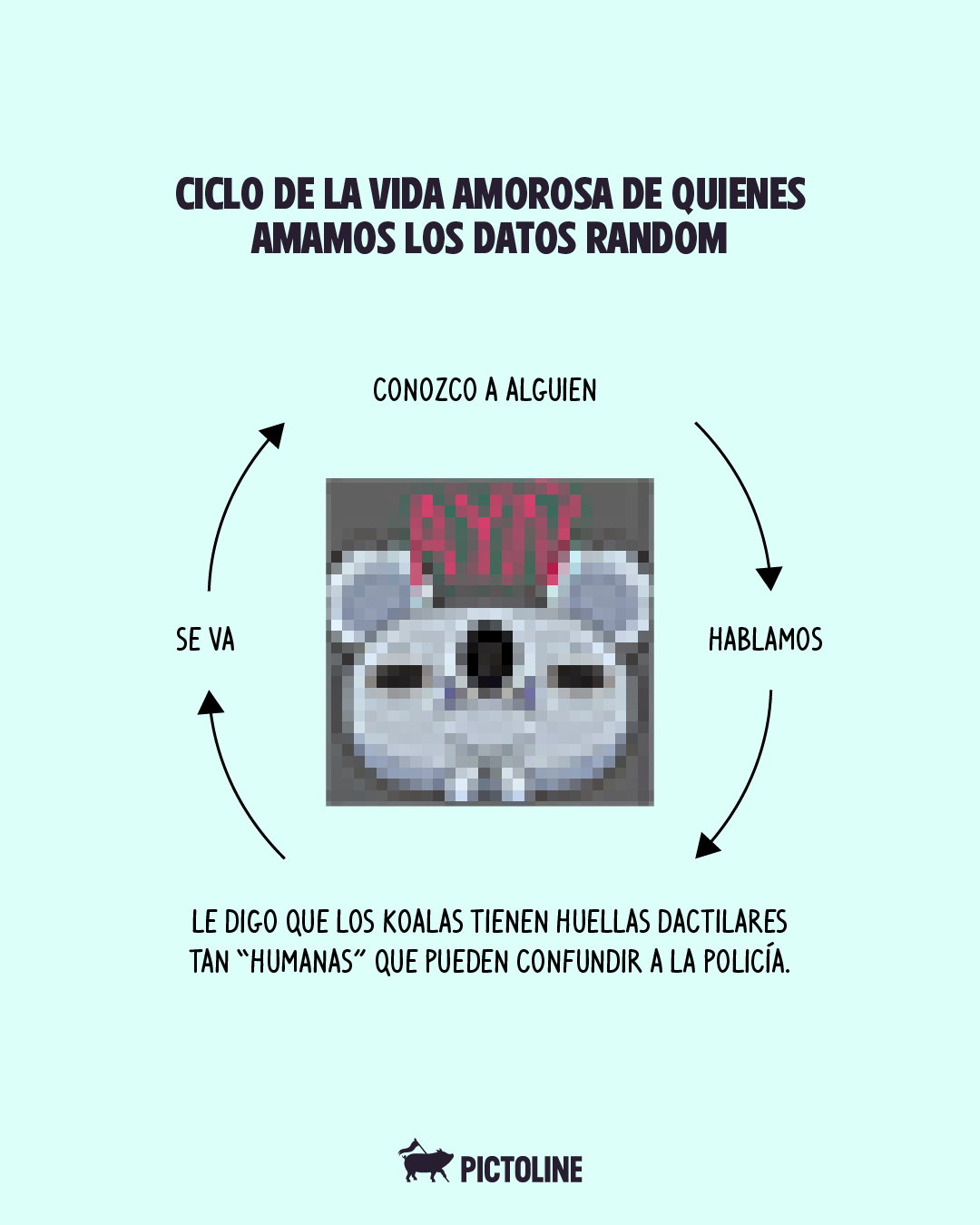 No habrá segunda cita, pero ya sabe todos esos datos random que AMOO 🤓🤌⁣ ⁣ #funfacts #datoscuriosos #memes #animales #pictoline