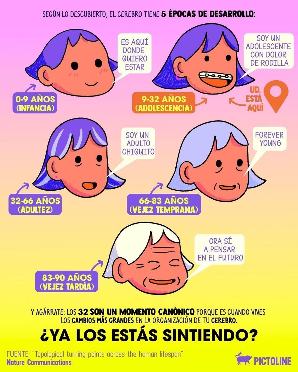 Tú en modo “treinteen”, di 😅🧢🤸⁣ ⁣ #adolescencia #foreveryoung #cerebro #estudio #ciencia #pictoline