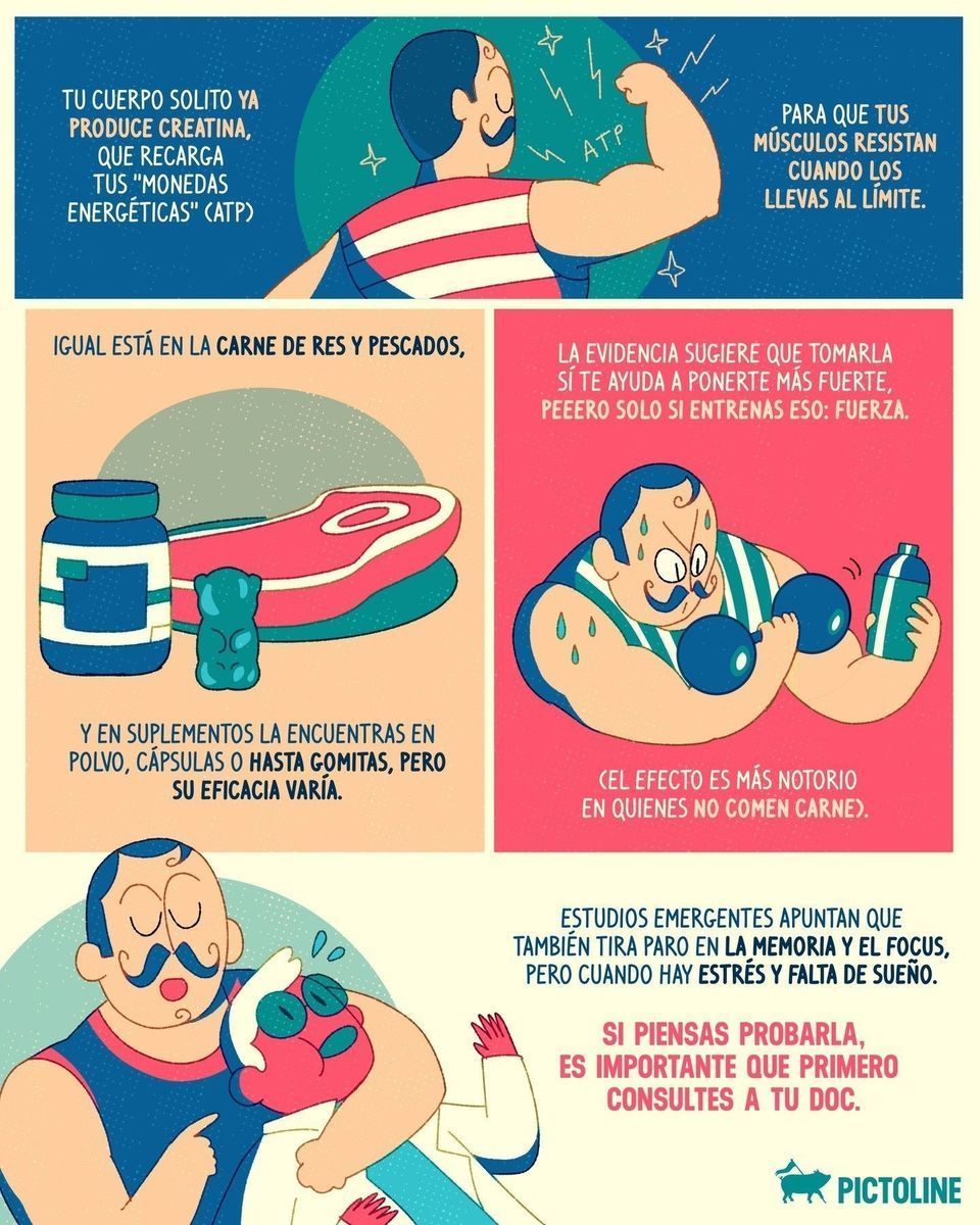 Aunque parezca que todo mundo anda tomando creatina, no es para cualquiera, bb 🥛🏋️♀️ Consulta a tu médico antes de probarla ☝️ #suplementos #gym #creatina #gym #creatine #calistenia #crossfit #hiit #gymworkout #ejercicio #salud #pictoline